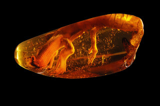 Естествен кехлибар