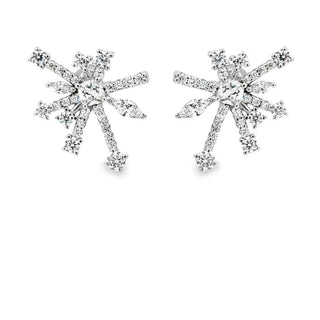 Сребърни обеци- Frozen Stardust