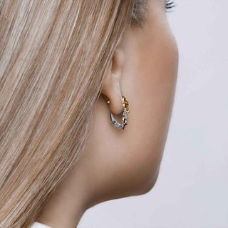 Сребърни обеци - Canari