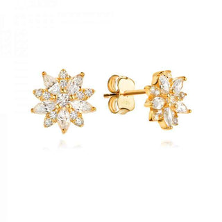 златни обеци, цирконий